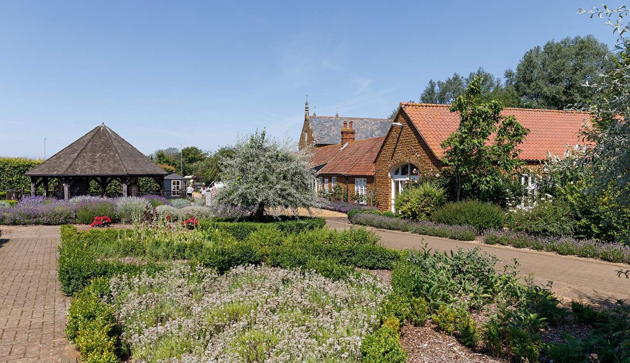Discover the sights and scents of Norfolk Lavender.