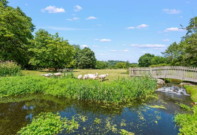 Your views from you patio and verandah area are rather stunning.