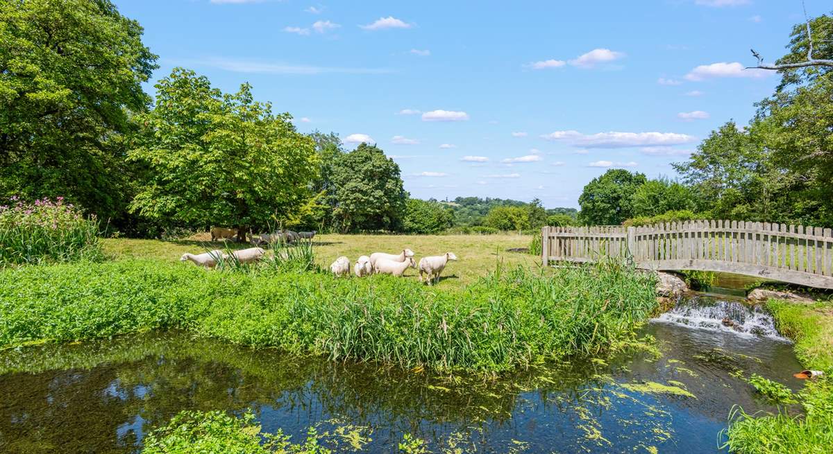 Your views from you patio and verandah area are rather stunning.