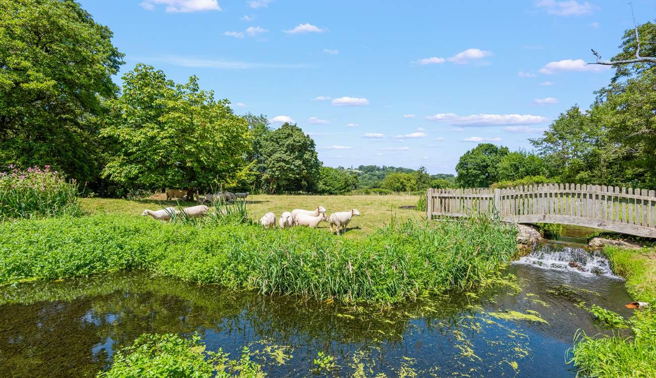 Your views from you patio and verandah area are rather stunning.