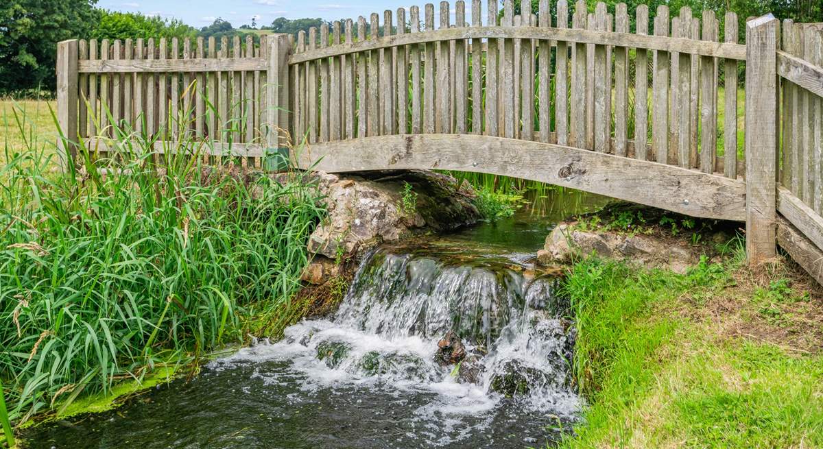 The relaxing sound of trickling water is such a pleasure.