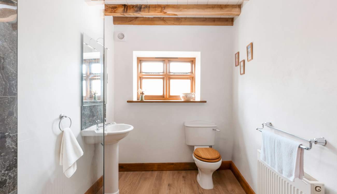 Another view of the en suite for bedroom 7.