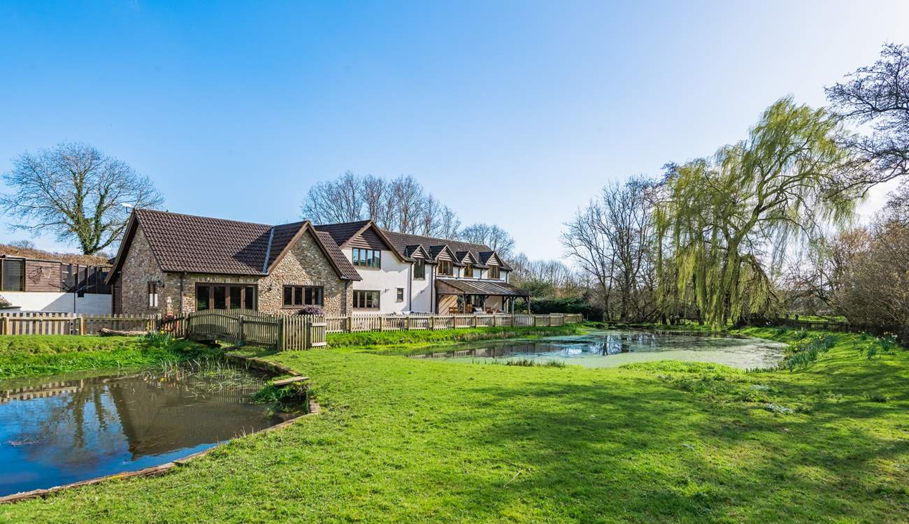 Looking back at Lexhayne Mill from the paddock opposite.