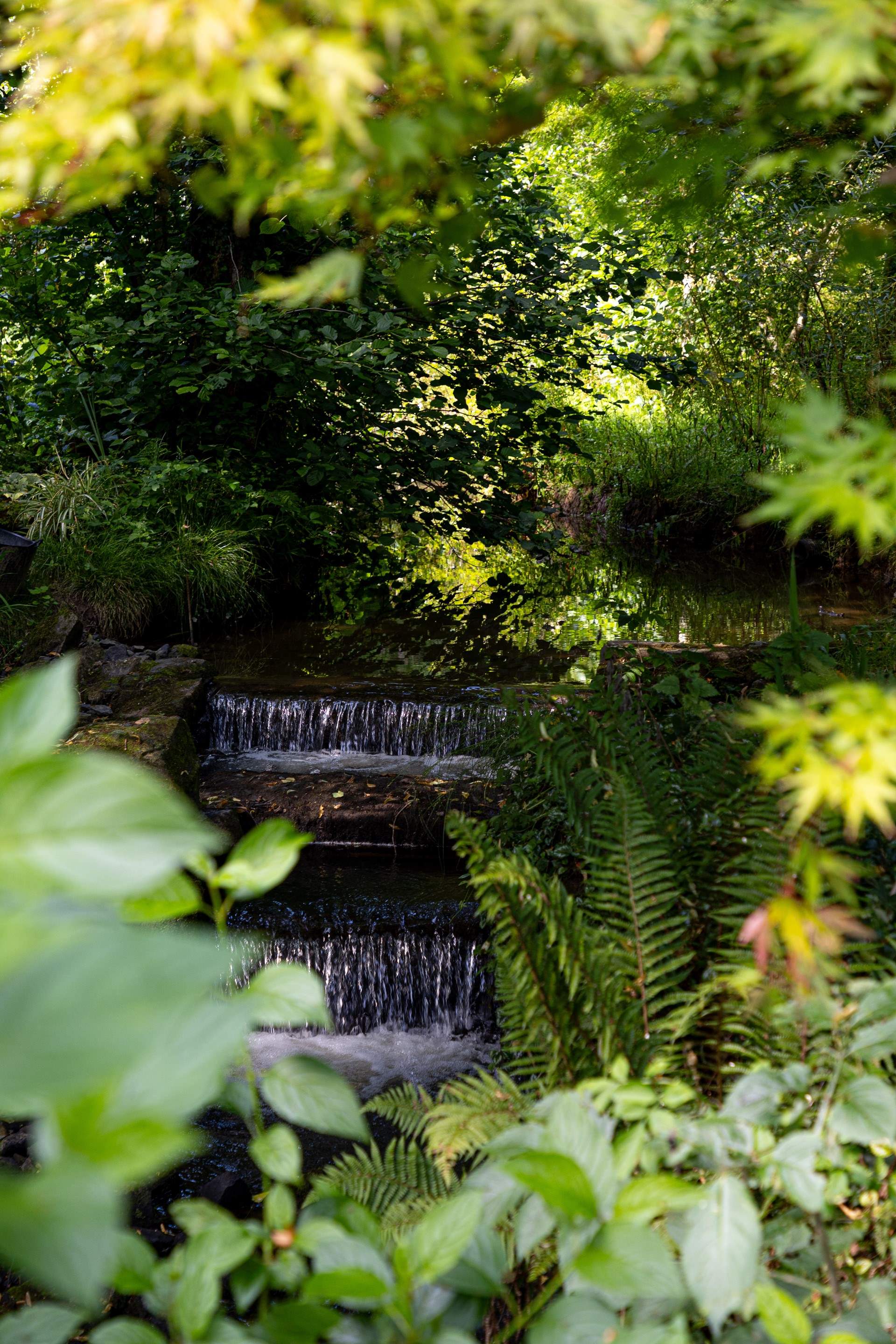The sound of water really is majestic.