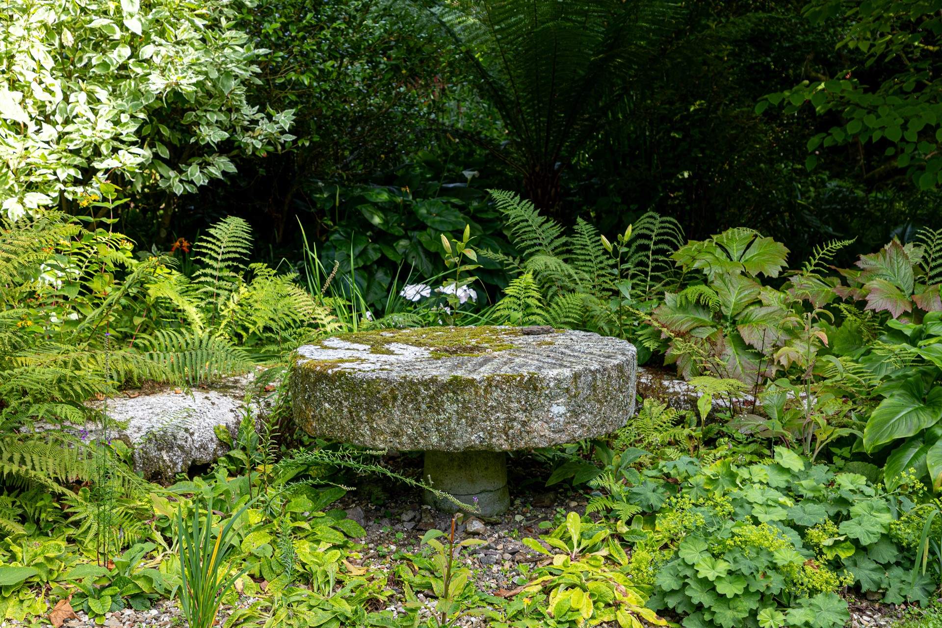 A special place to reconnect with nature.