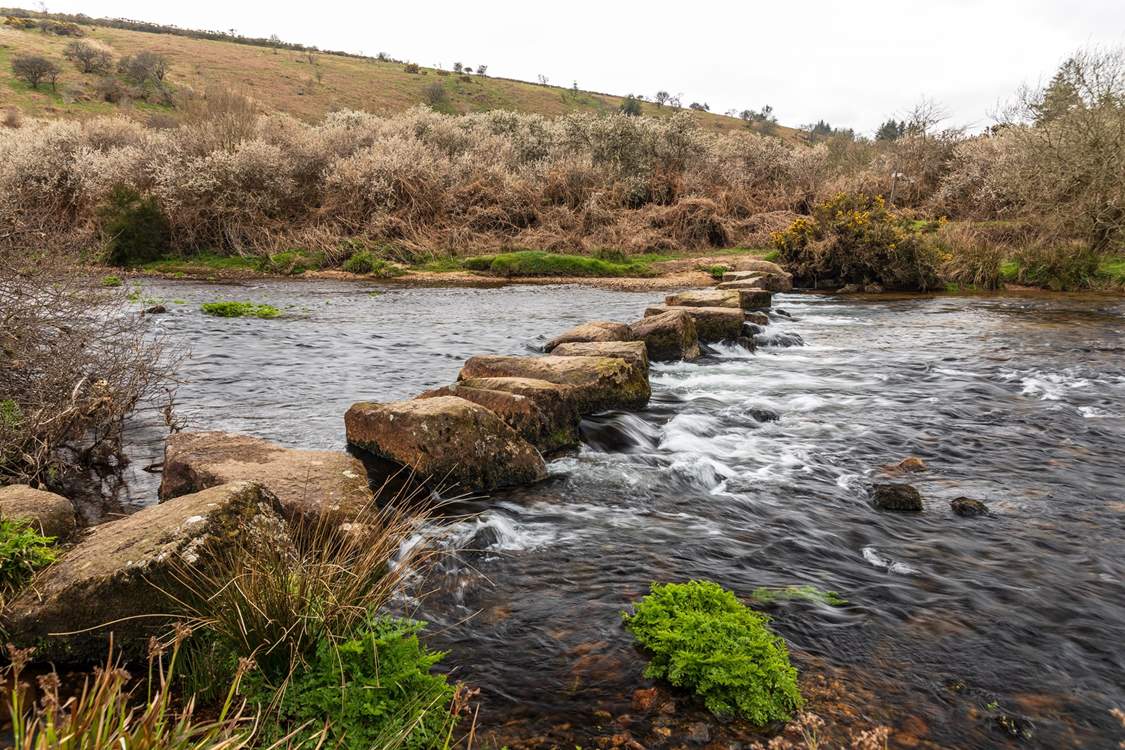 One of the many superb sights you will enjoy when exploring Dartmoor National Park.