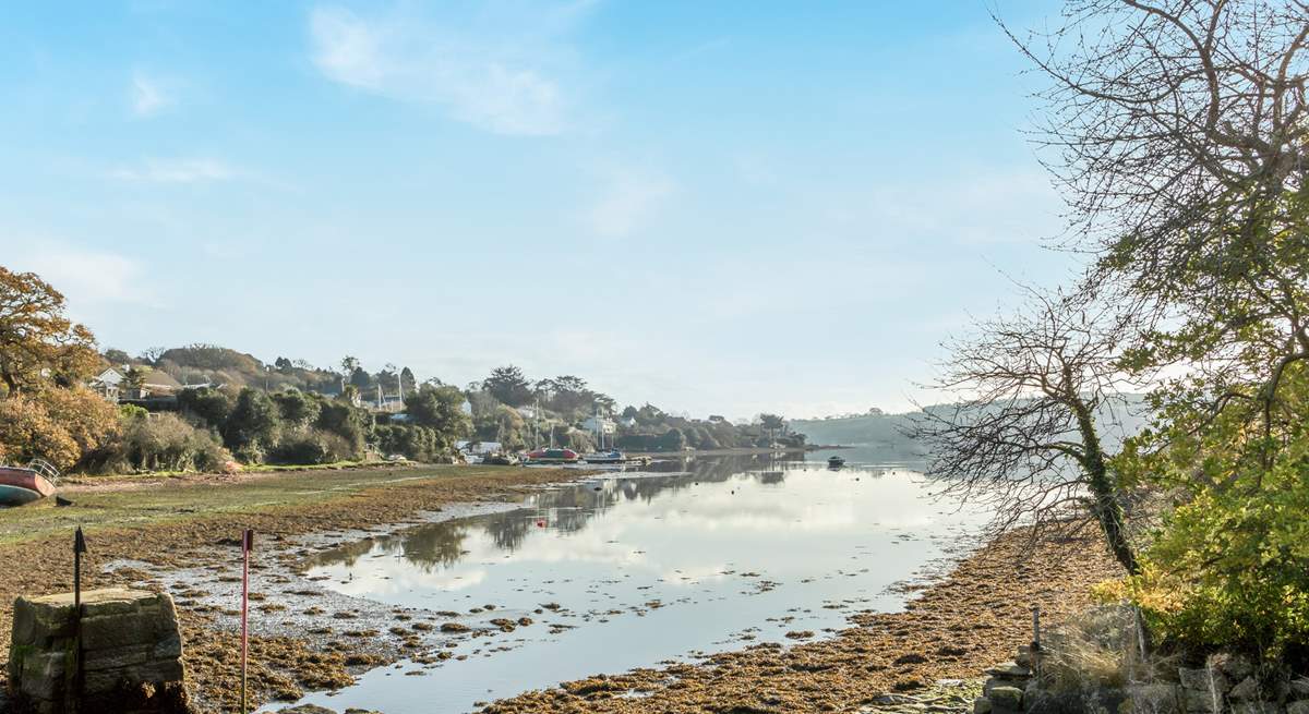 The creek is only moments from your front door, it is a great spot to watch the tide ebb and flow and to watch for all sorts of birds too. 