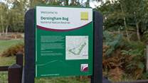 One of many walks to explore with your four-legged friends.
