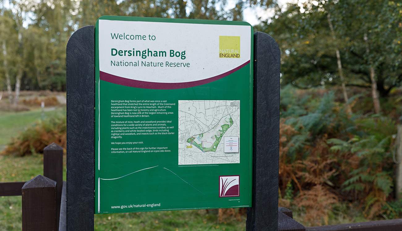 One of many walks to explore with your four-legged friends.