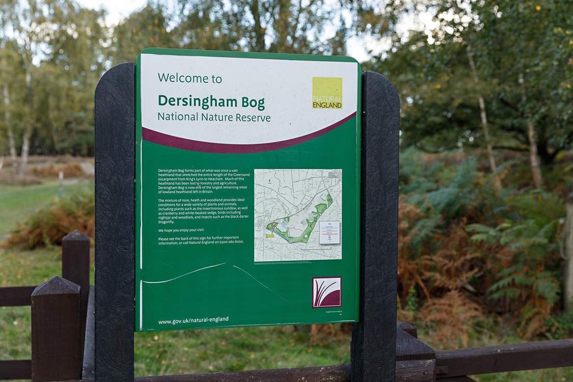 One of many walks to explore with your four-legged friends.