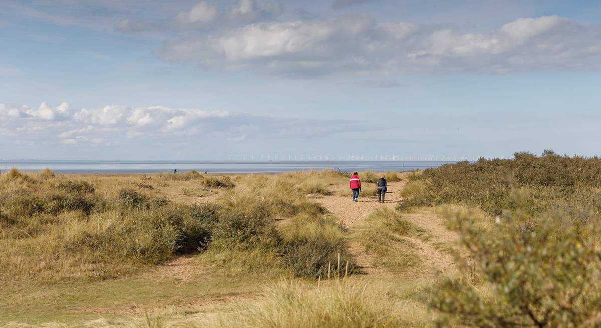 Enjoy walking the coastal paths, a haven for wildlife.