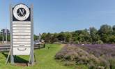 Visit the stunning Norfolk lavender fields. - Thumbnail Image