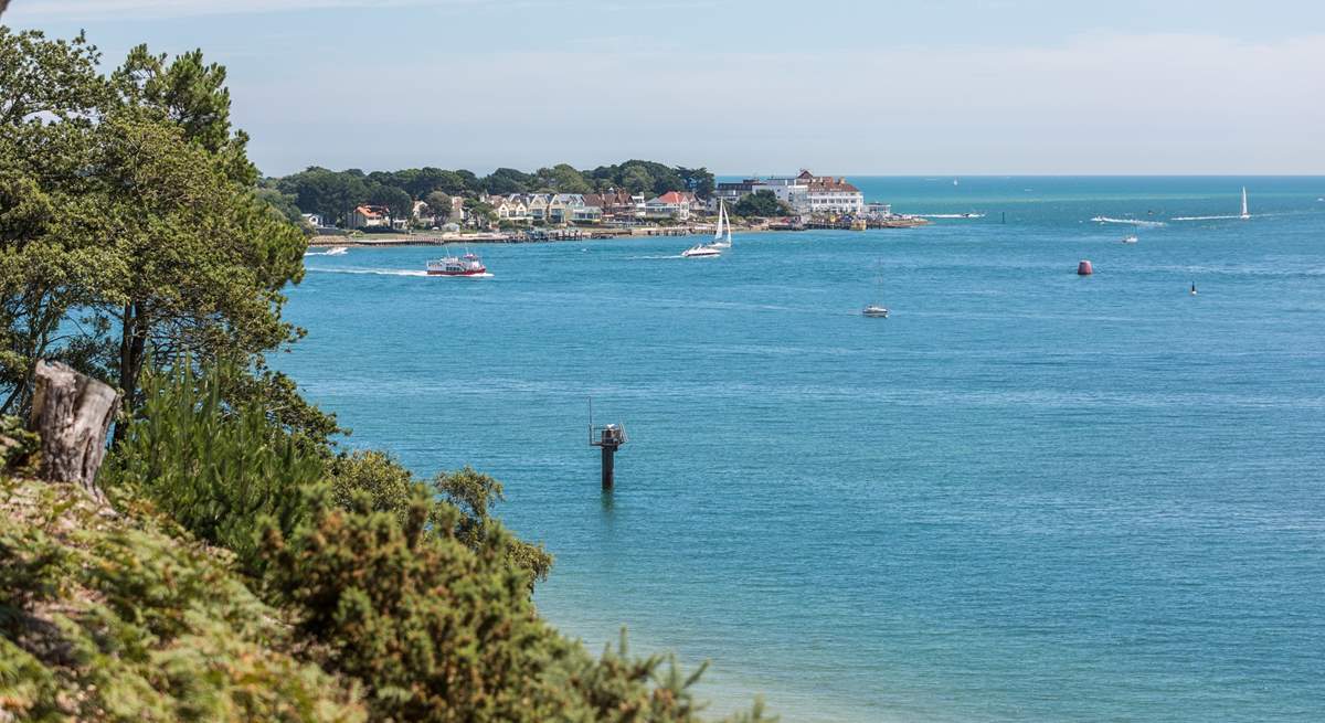 Take the ferry to Brownsea Island and spot the red squirrels.