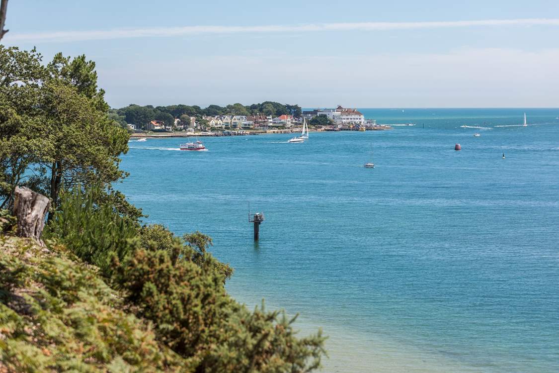 Take the ferry to Brownsea Island and spot the red squirrels.