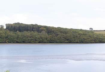 What a a view from the bedroom!