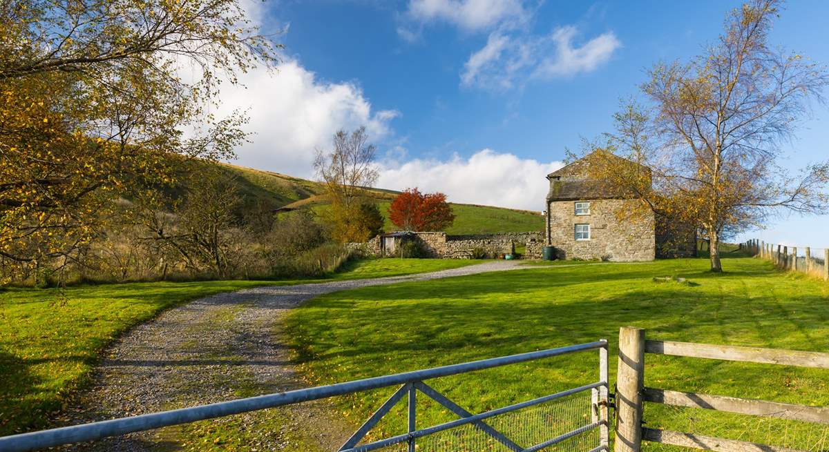 There is a large garden at Nettlebed.