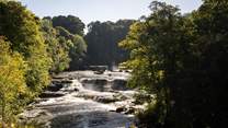 Visit Aysgarth Falls.