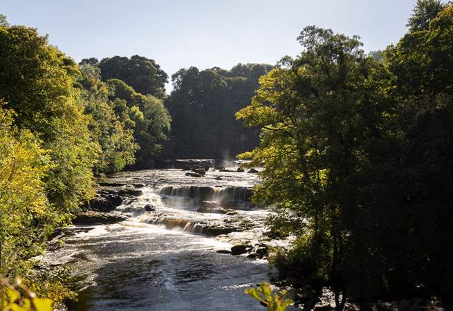 Visit Aysgarth Falls.