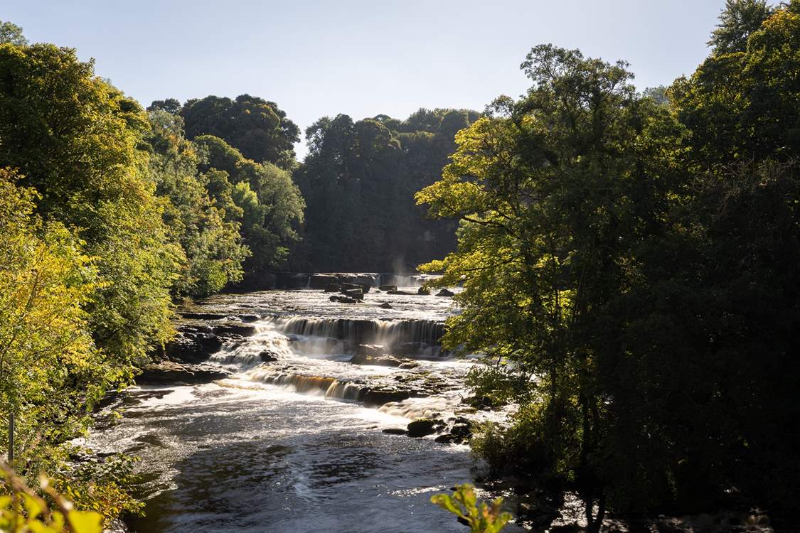 Visit Aysgarth Falls.