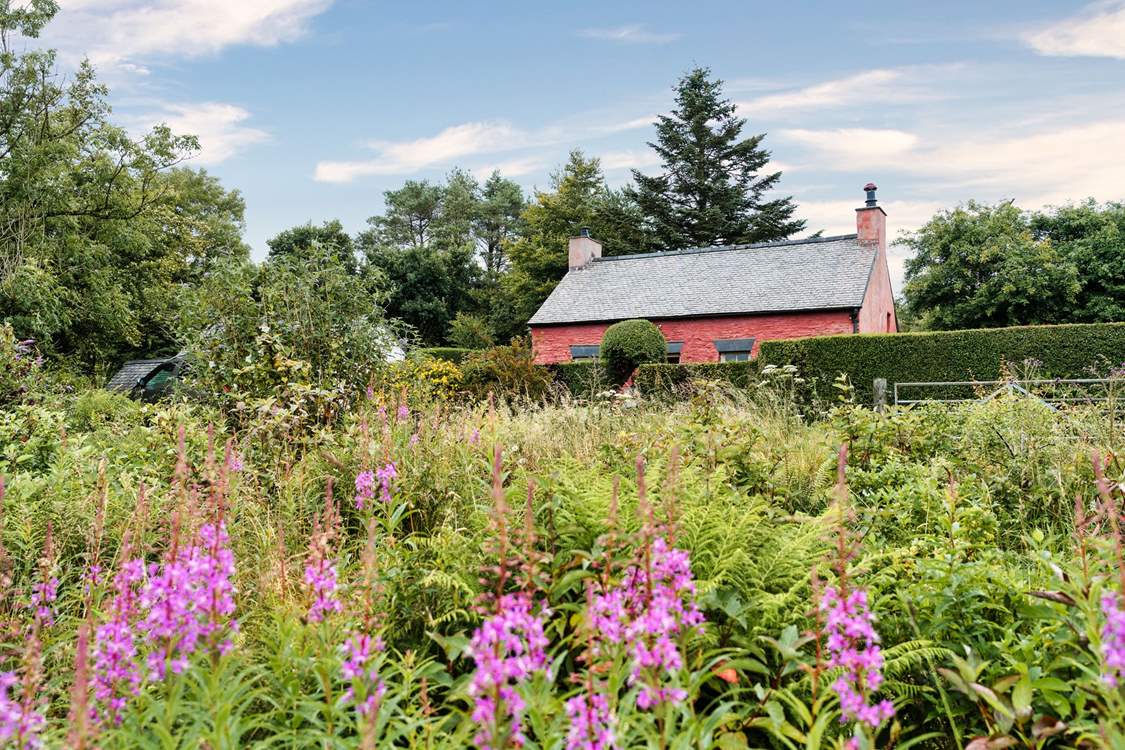 Take in the beauty of the surroundings. Relax in the pretty gardens and watch the red kites overhead.