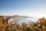 Take a trip along the coast to the vibrant seaside town of Aberystwyth.