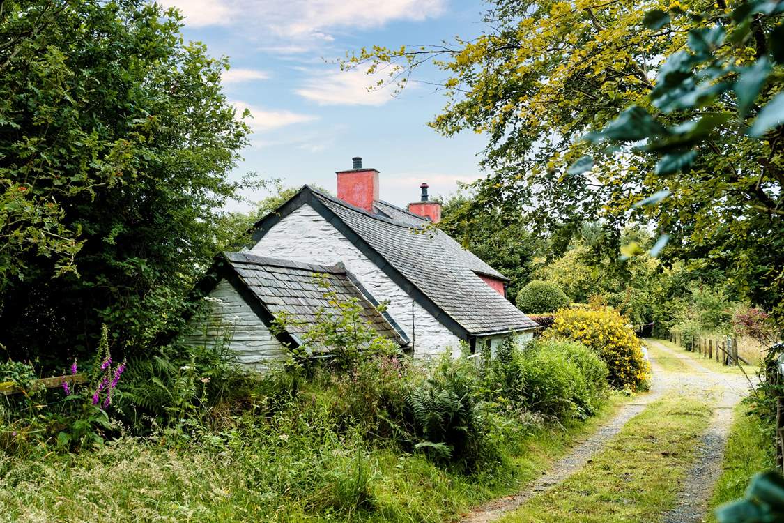 Explore the three acres of gardens or the leafy lanes near the cottage.