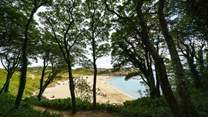 Spectacular Barafundle is nearby. Discover the spellbinding golden sands, turquoise sea, pine forest and sand dunes.  