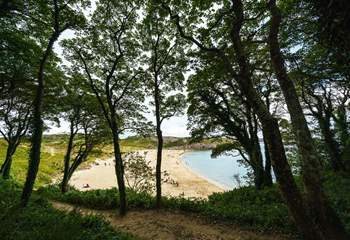 Spectacular Barafundle is nearby. Discover the spellbinding golden sands, turquoise sea, pine forest and sand dunes.  