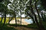 Spectacular Barafundle is nearby. Discover the spellbinding golden sands, turquoise sea, pine forest and sand dunes.