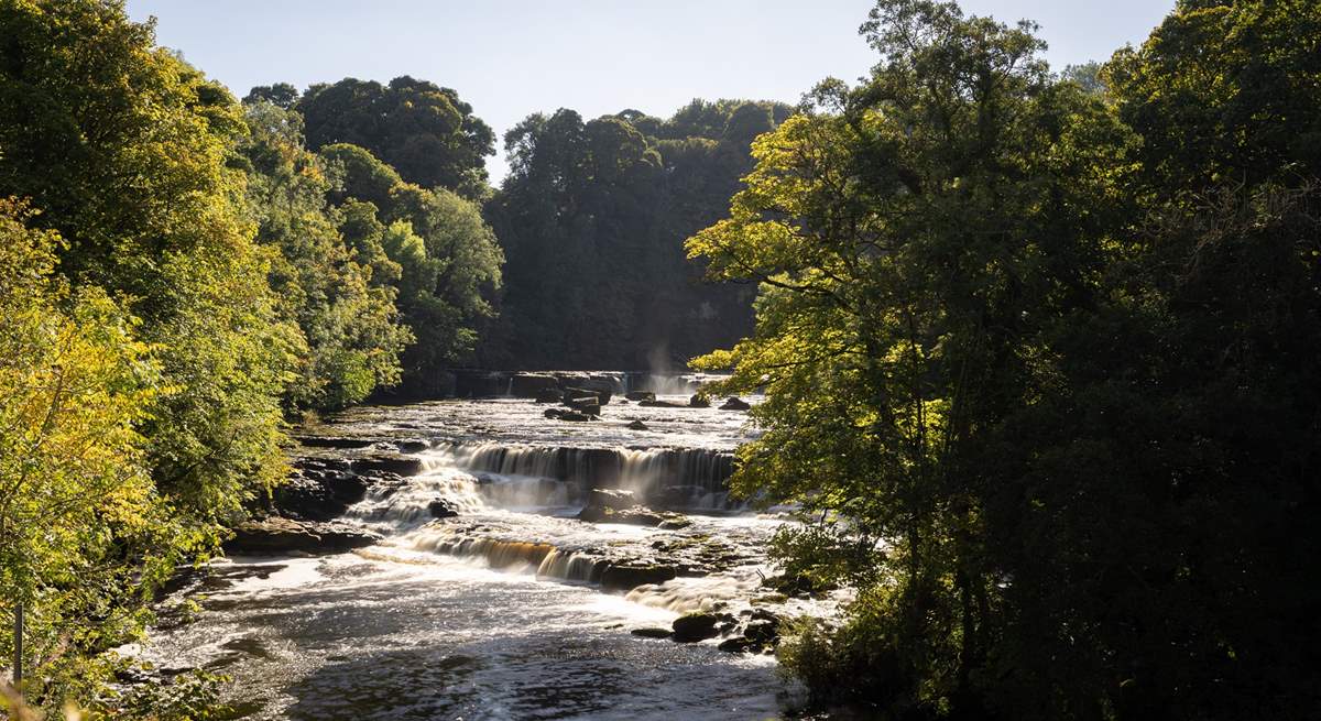 Visit the beautiful Aysgarth Falls.