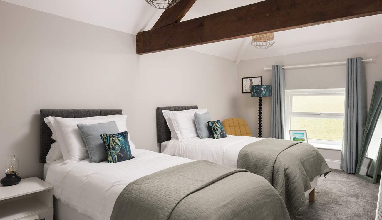 The spacious twin bedroom.