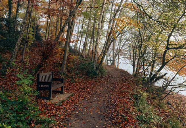 Enjoy plenty of walks through the beautiful woodland.