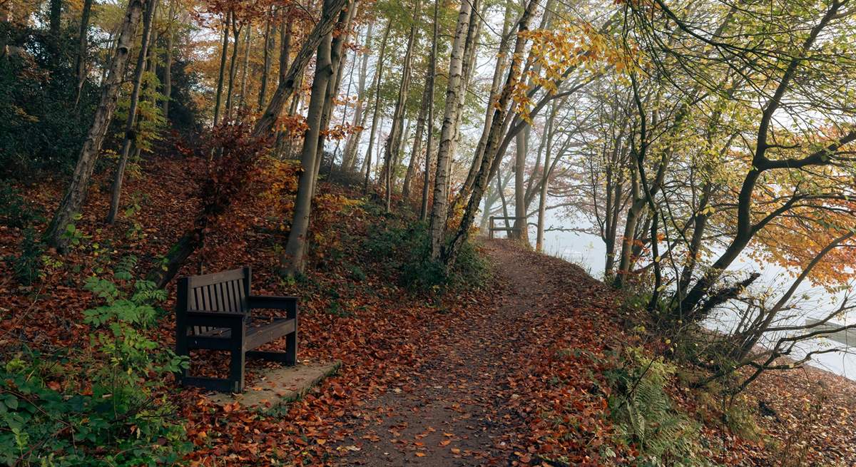 Enjoy plenty of walks through the beautiful woodland.