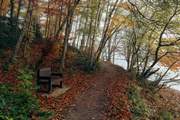 Enjoy plenty of walks through the beautiful woodland.