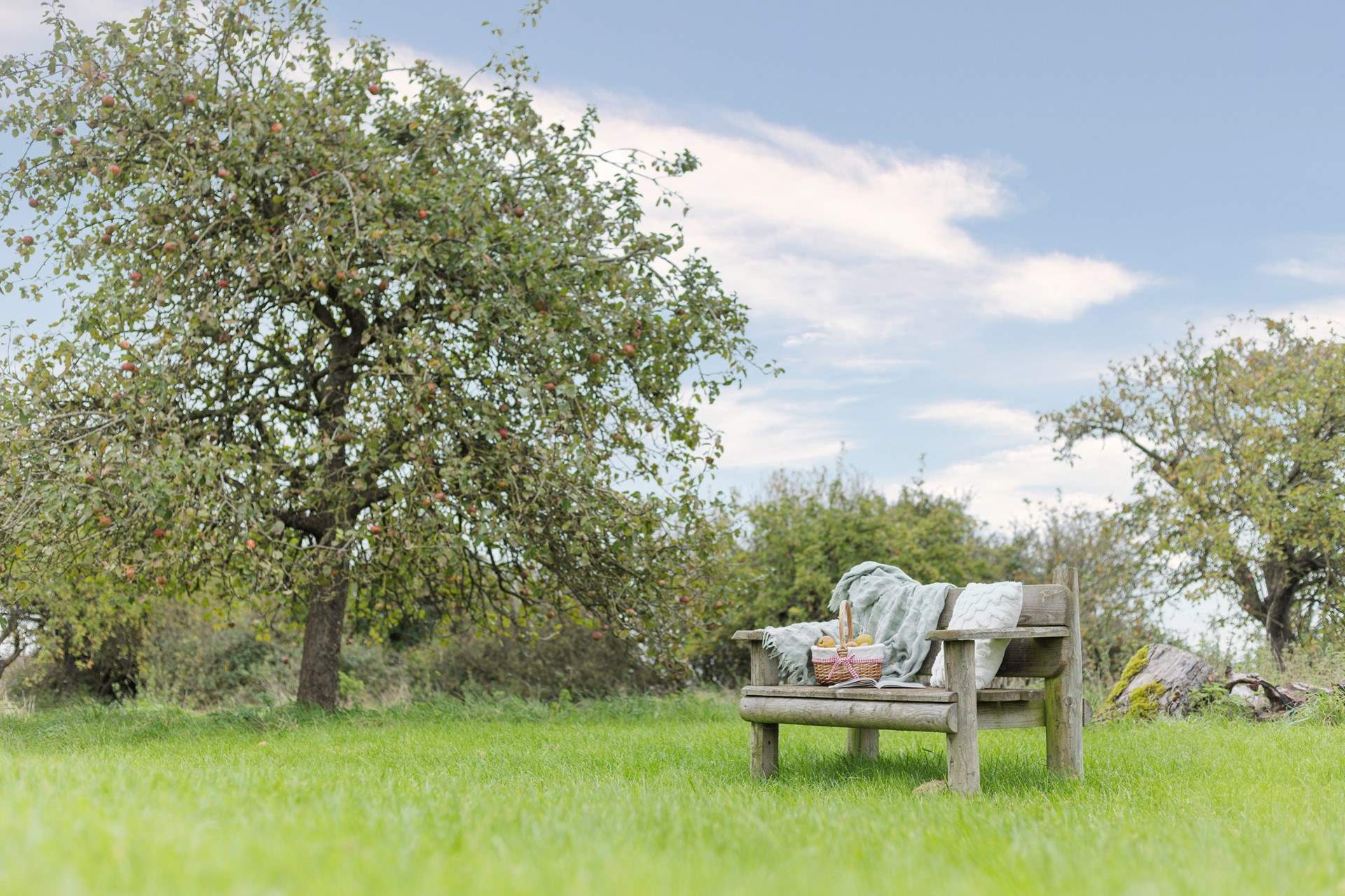 Take a moment to savour the peace and tranquility of the orchard.