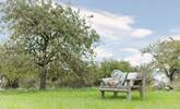 Take a moment to savour the peace and tranquility of the orchard. - Thumbnail Image