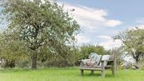 Take a moment to savour the peace and tranquility of the orchard.