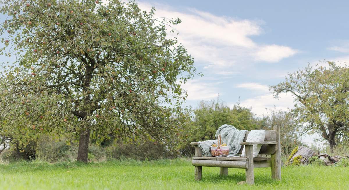 Take a moment to savour the peace and tranquility of the orchard.