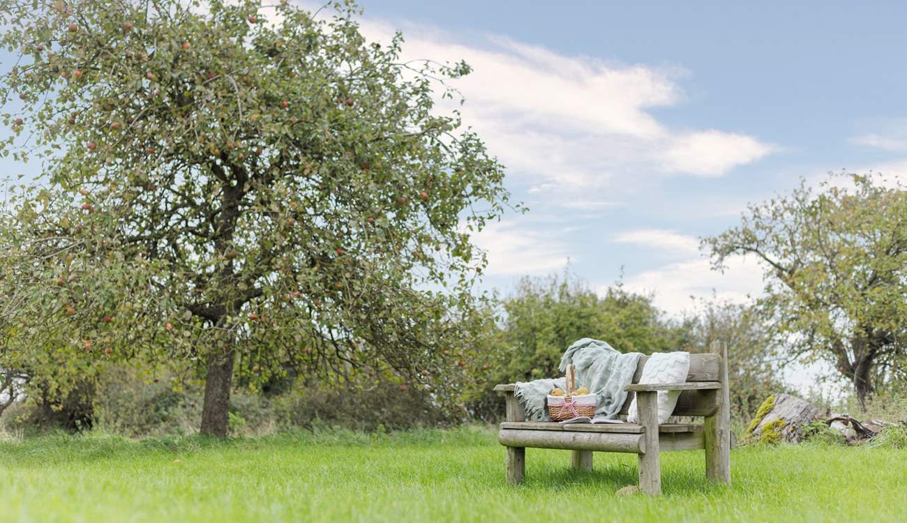 Take a moment to savour the peace and tranquility of the orchard.