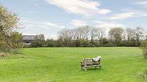 The enclosed orchard and wildflower area is such a treat! 