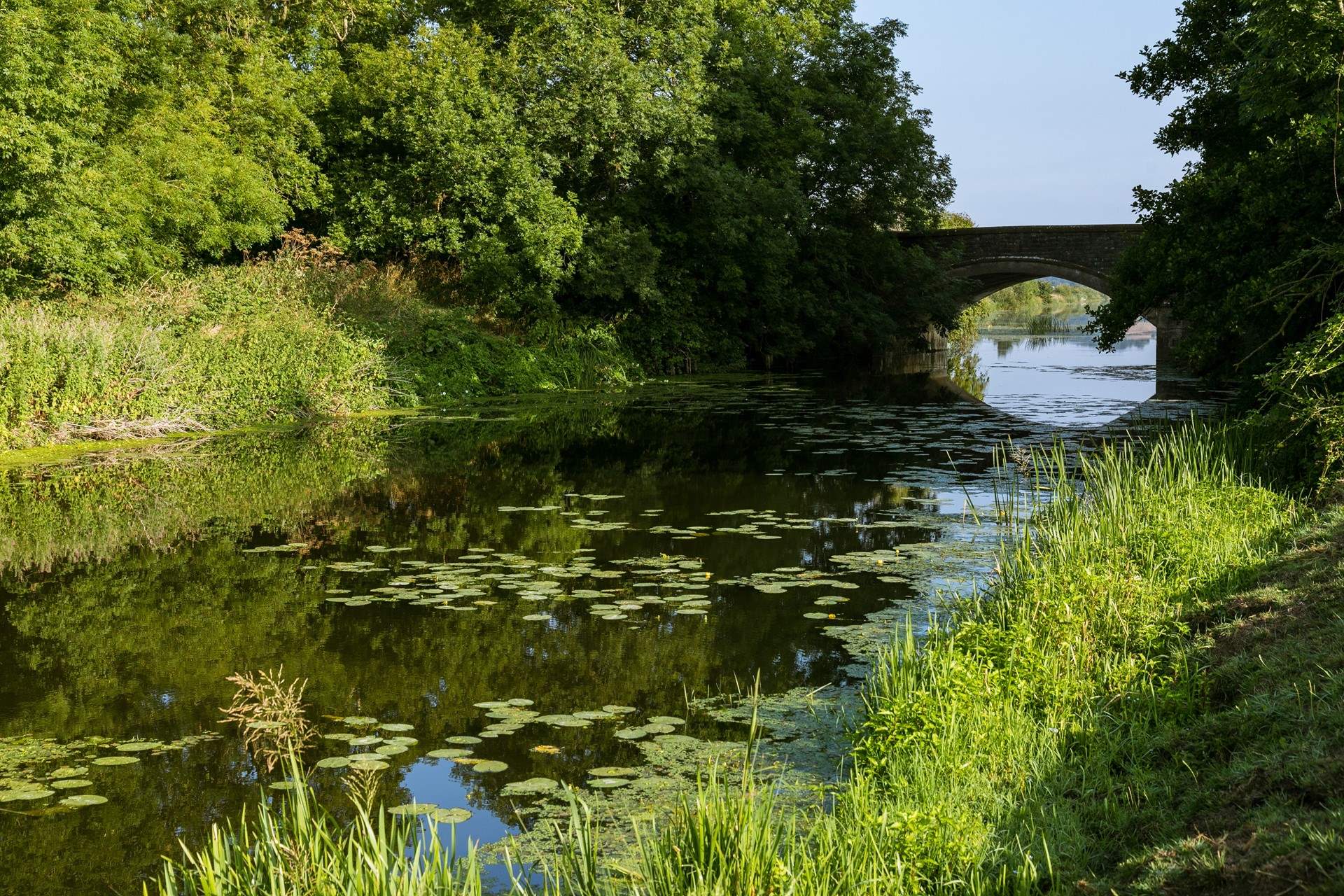 King's Sedgemoor Drain is a lovely spot for a walk.