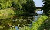 King's Sedgemoor Drain is a lovely spot for a walk. - Thumbnail Image