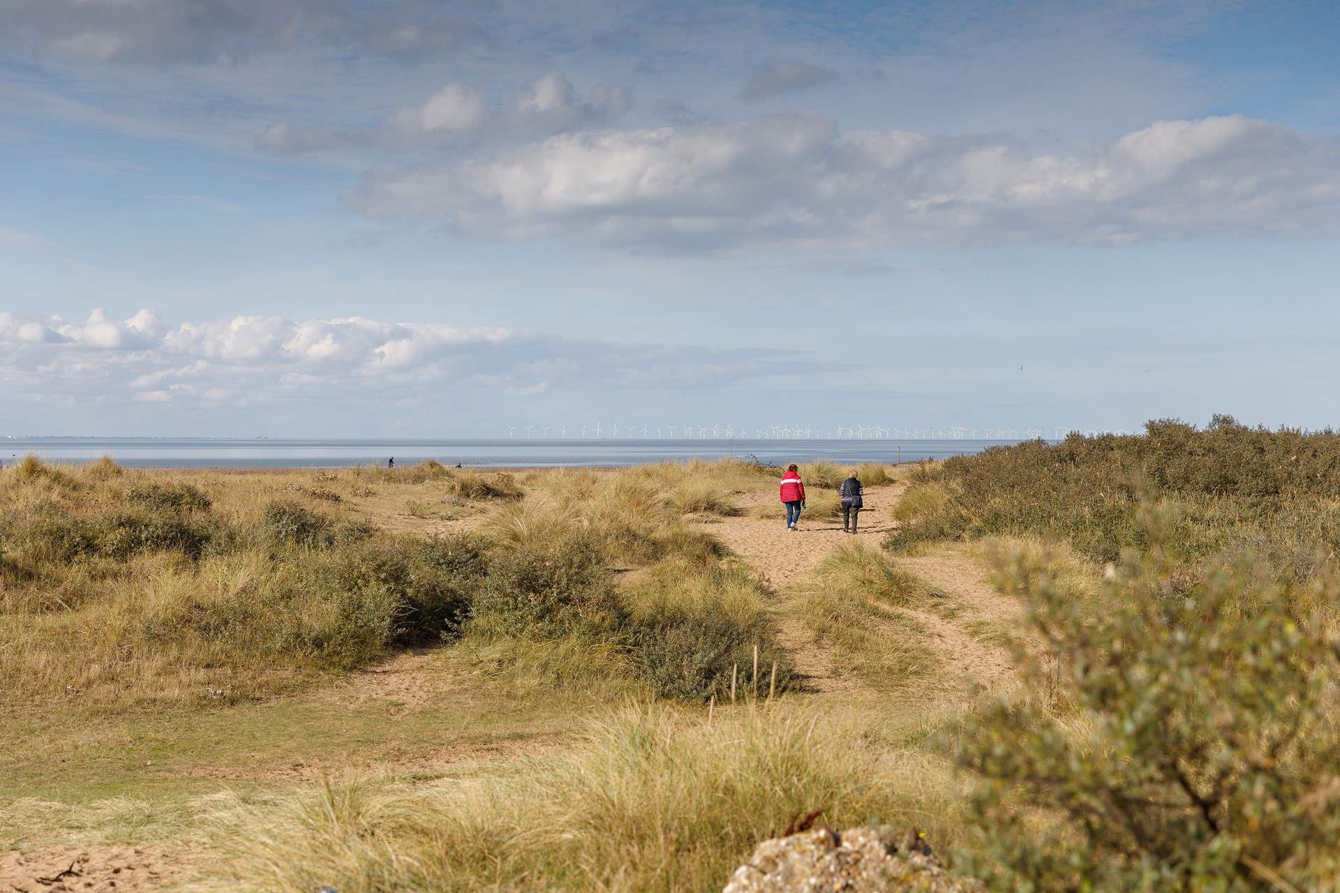 Explore the neighbouring hamlet of Holme-next-the-Sea with your four-legged friends.