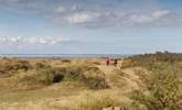 Explore the neighbouring hamlet of Holme-next-the-Sea with your four-legged friends. - Thumbnail Image