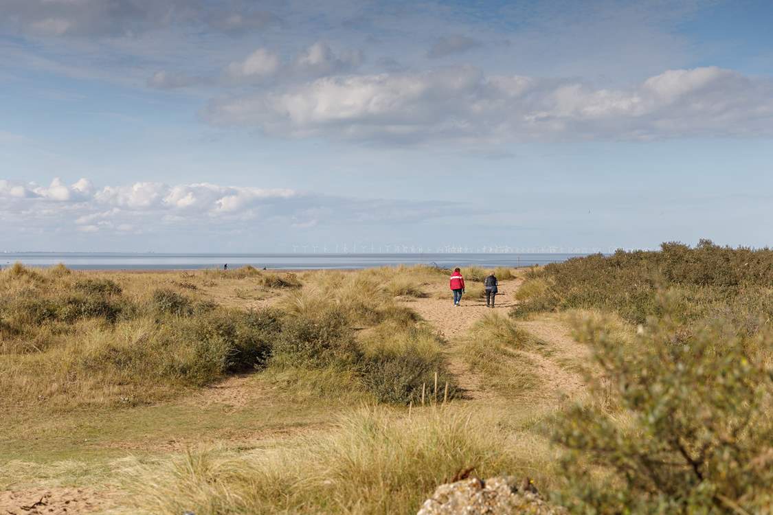 Explore the neighbouring hamlet of Holme-next-the-Sea with your four-legged friends.