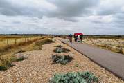 Cycle or walk around Rye Harbour Nature Reserve.