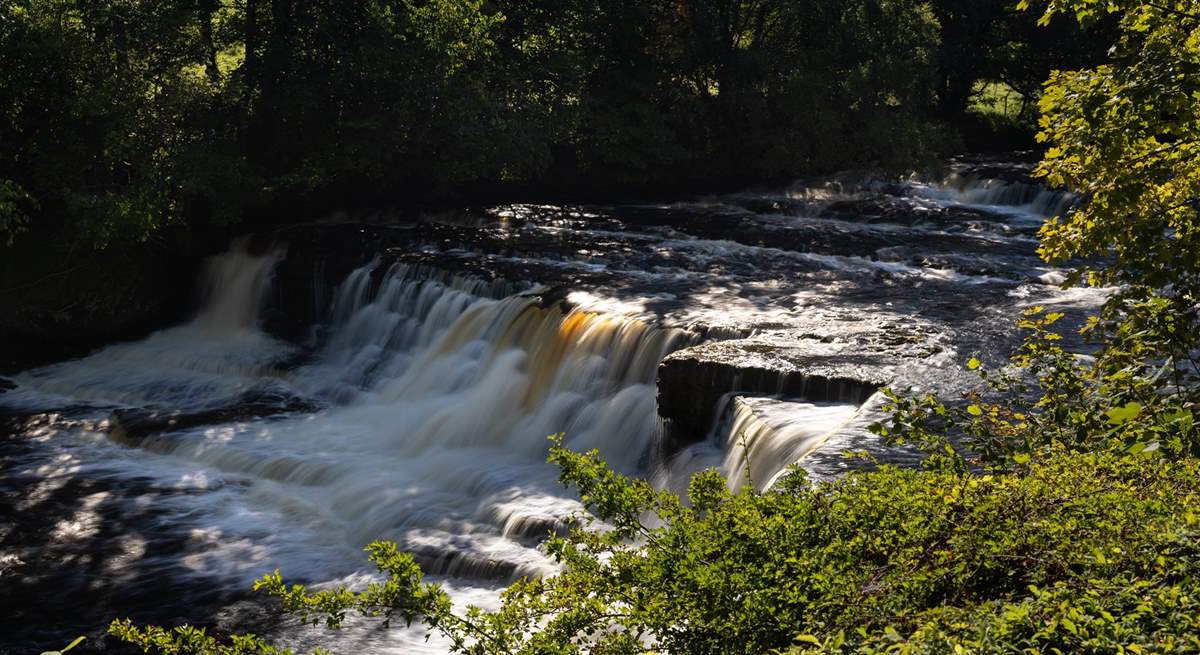 Beautiful Aysgarth Falls is a great place to take a gentle walk and finish off with coffee at the cafe.