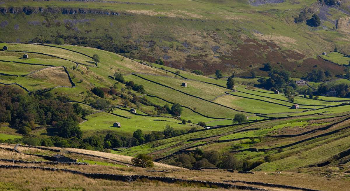 Glorious Swaledale.