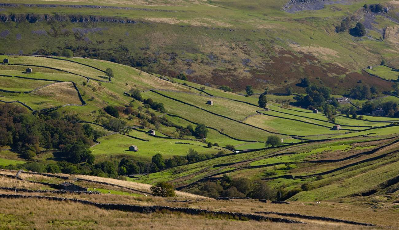 Glorious Swaledale.