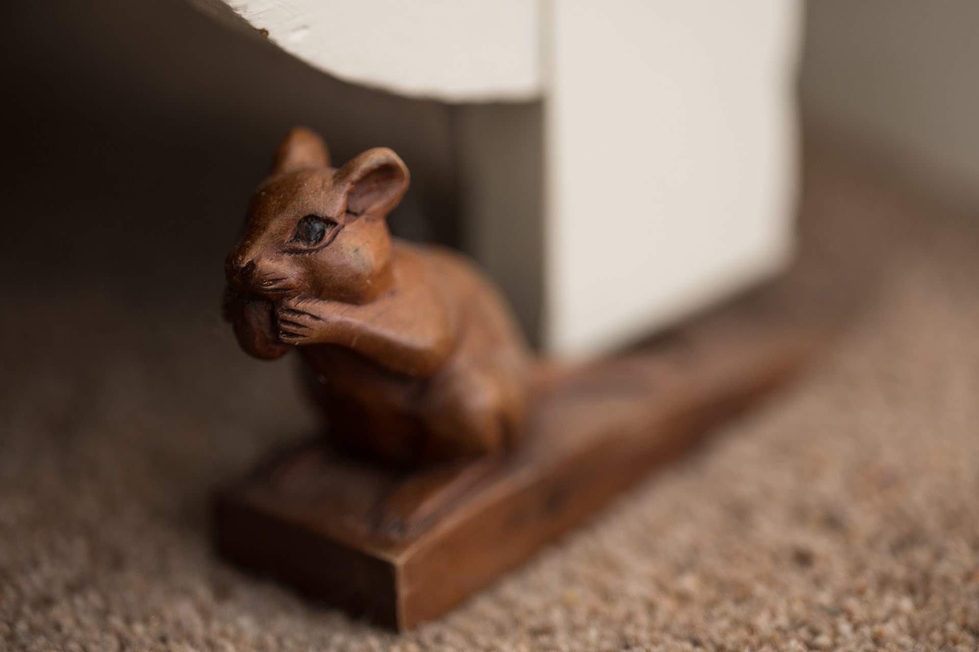 See if you can find the little mouse!